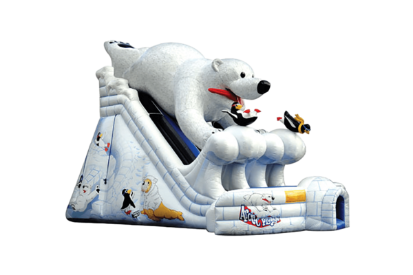 Junior Arctic Plunge