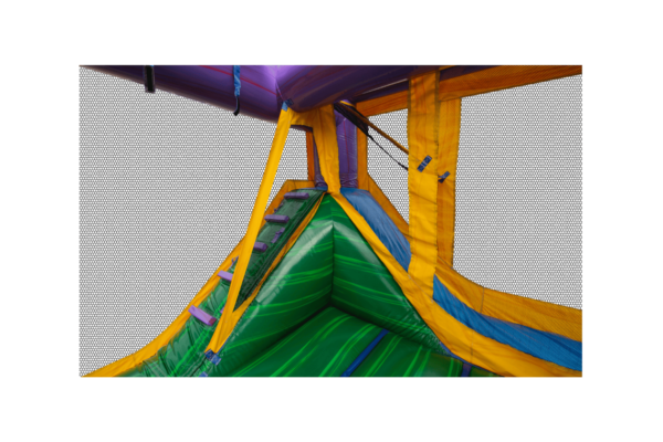 Backyard Combo Module Mardi Gras Castle - Image 7