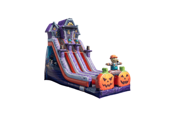 Haunted Mansion DL Dry Slide-HR