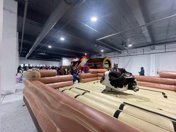 Mechanical Bull - Image 5